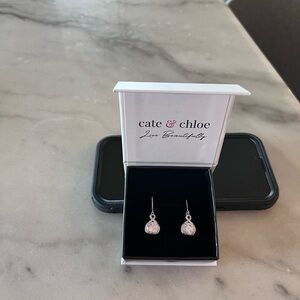 Silver Drop Earrings with‎ Delicate Design
